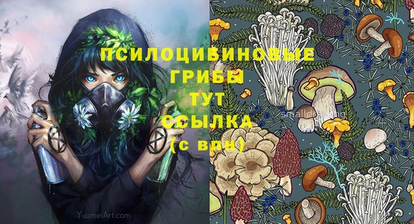мяу мяу мука Белоозёрский