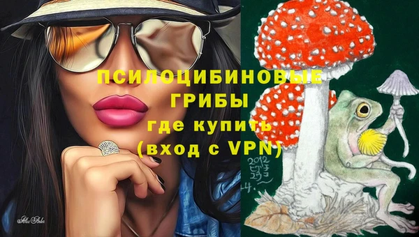 мяу мяу мука Белоозёрский