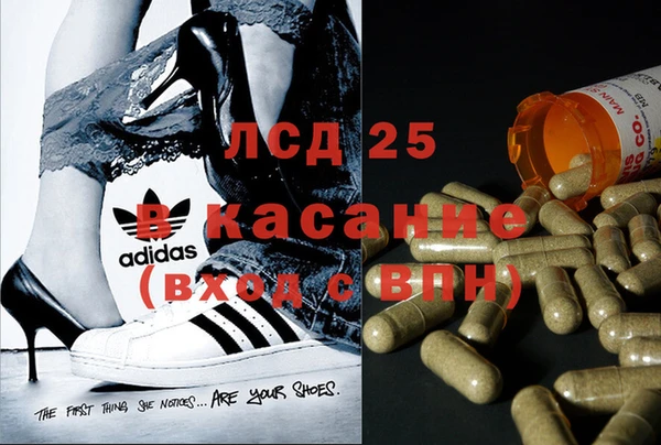 spice Белокуриха