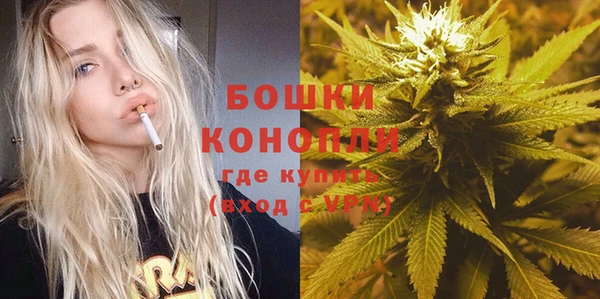 spice Белокуриха