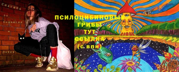 spice Белокуриха