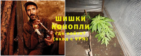 spice Белокуриха
