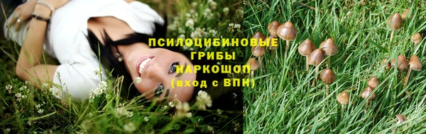 мяу мяу мука Белоозёрский