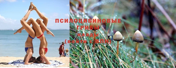 мяу мяу мука Белоозёрский