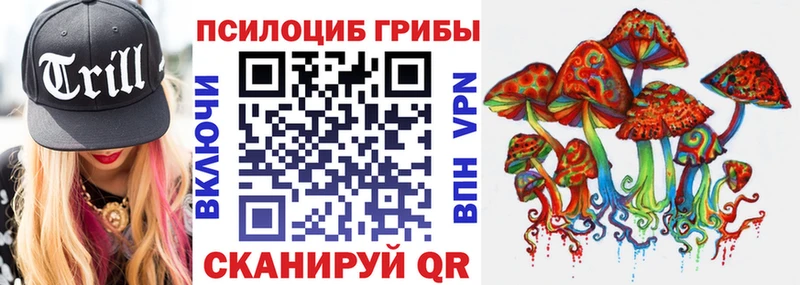 Галлюциногенные грибы ЛСД Губкинский
