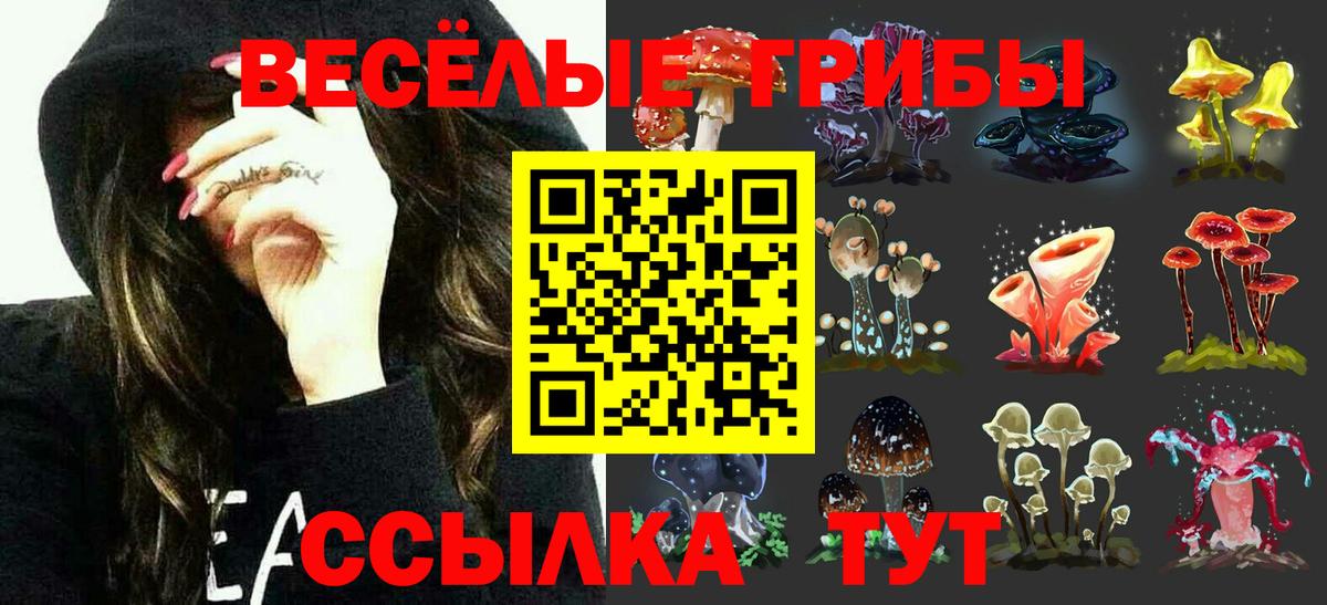 Галлюциногенные грибы MAGIC MUSHROOMS Губкинский
