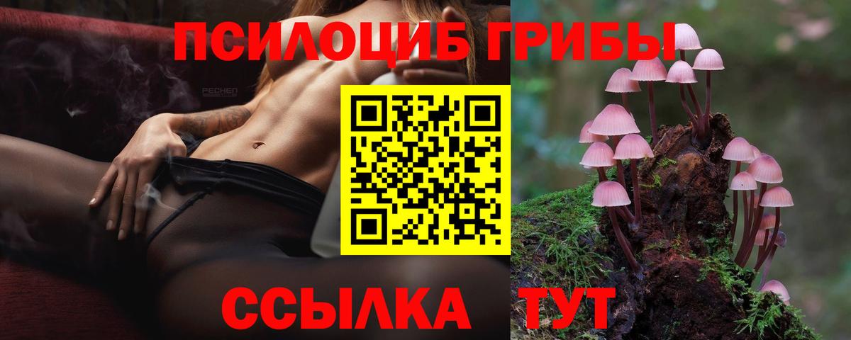 Губкинский  Галлюциногенные грибы Magic Shrooms  даркнет сайт  Вход с VPN  Псилоцибиновые грибы MAGIC MUSHROOMS 